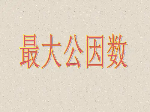 最新人教版小学数学五年级下册最大公因数PPT【优质PPT】
