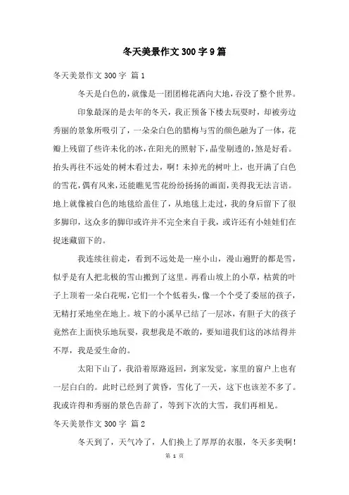 冬天美景作文300字9篇