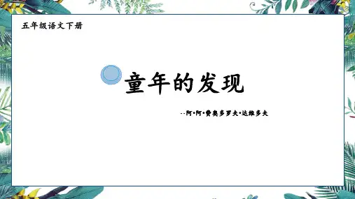 童年的发现 教学课件 PPT