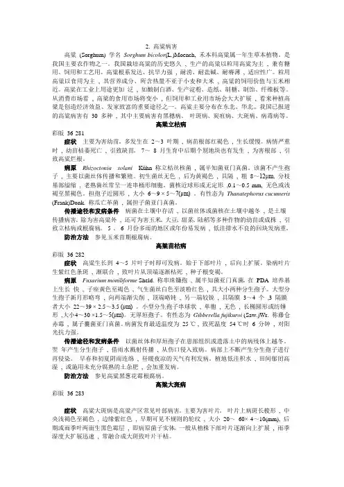 高粱病害