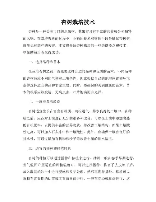 杏树栽培技术