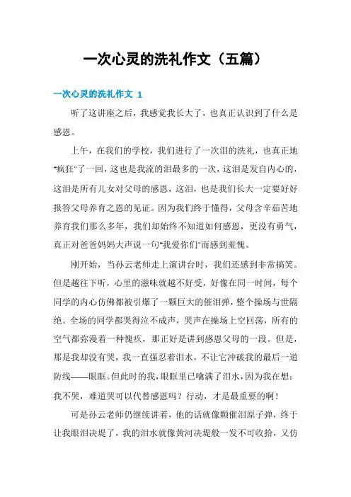 一次心灵的洗礼作文(五篇)