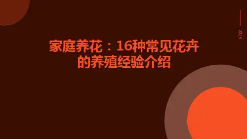 家庭养花：16种常见花卉的养殖经验介绍