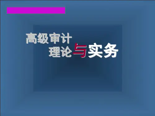 高级审计理论与实务一讲精品PPT课件