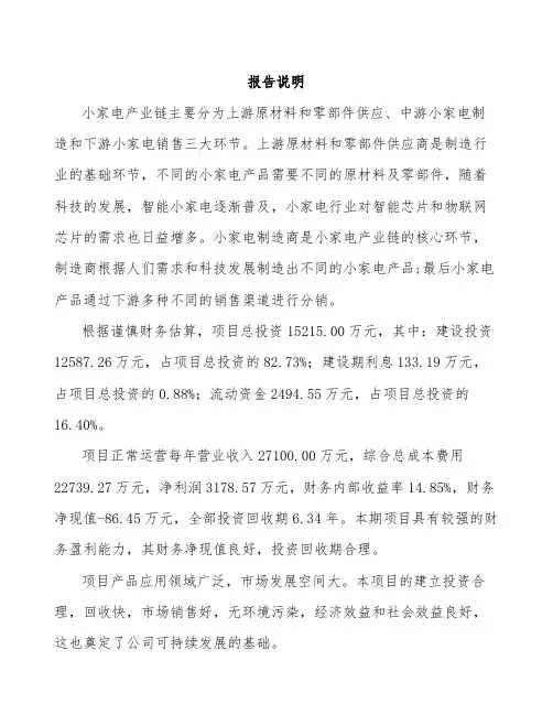 小家电项目数据分析报告