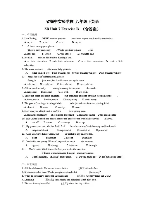 江苏省无锡市省锡中实验学校 牛津译林版八年级下 Unit 7 Exercise B (含答案)