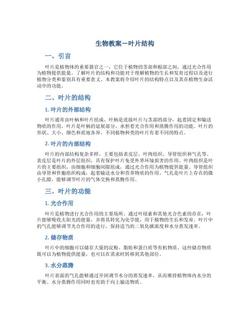生物教案-叶片结构