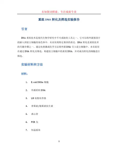 重组DNA转化及筛选实验报告