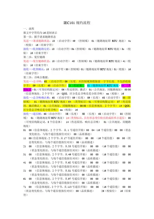 IEC101