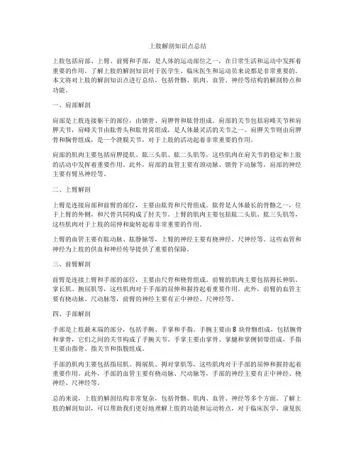 上肢解剖知识点总结