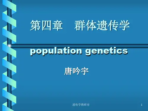 群体遗传学