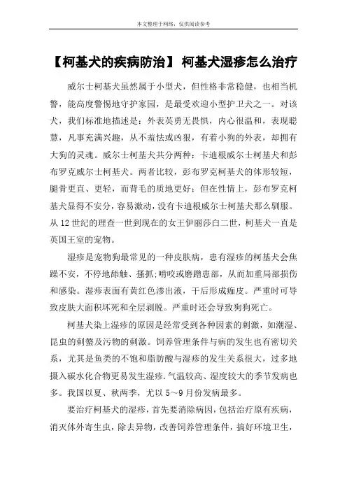 【柯基犬的疾病防治】 柯基犬湿疹怎么治疗