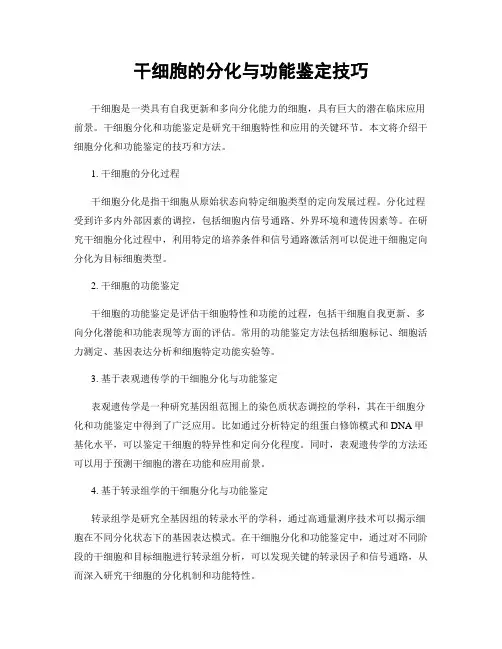 干细胞的分化与功能鉴定技巧