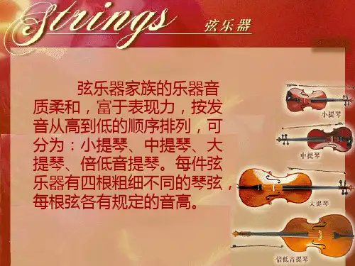 管弦乐队四个分组介绍