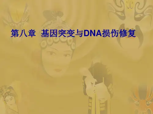 现代遗传学1-12章包括绪论全部课件 (1)