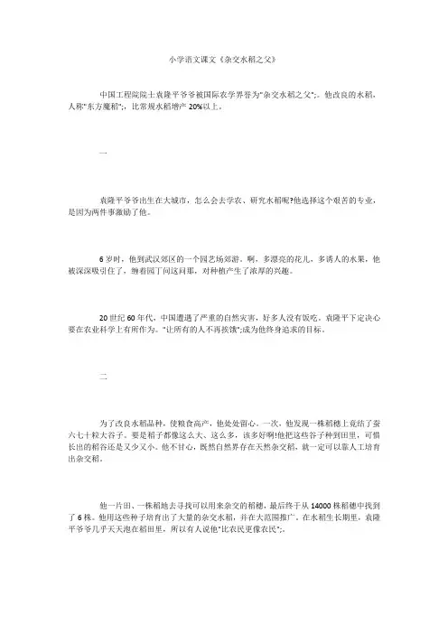 小学语文课文《杂交水稻之父》