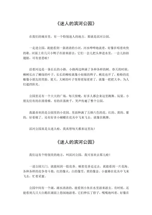 迷人的滨河公园作文500字