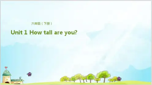 六年级下册英语精品ppt-Unit 1 How tall are you？Lesson 1 你的身高