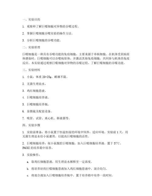 大吞噬实验的实验报告