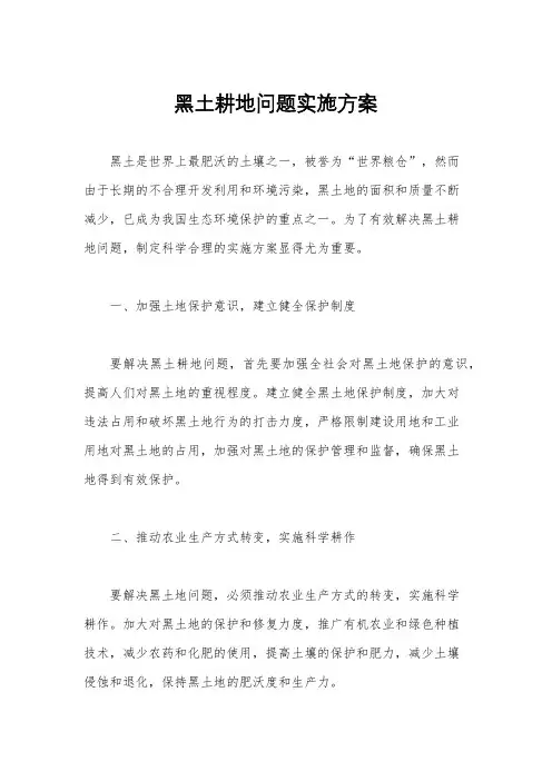 黑土耕地问题实施方案
