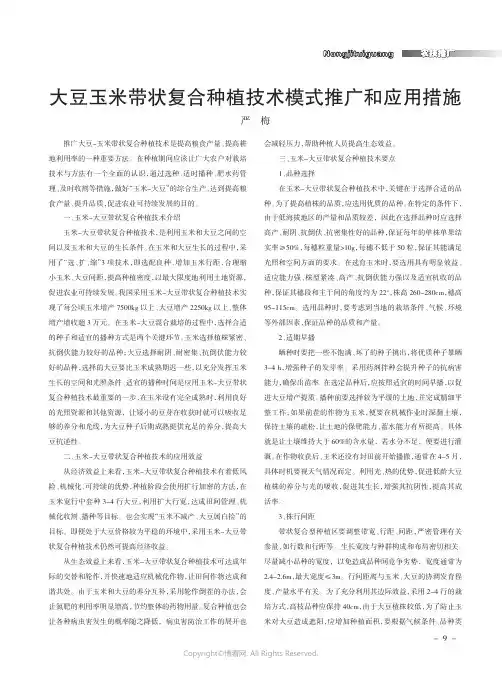 大豆玉米带状复合种植技术模式推广和应用措施