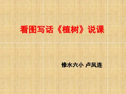 《植树》说课ppt