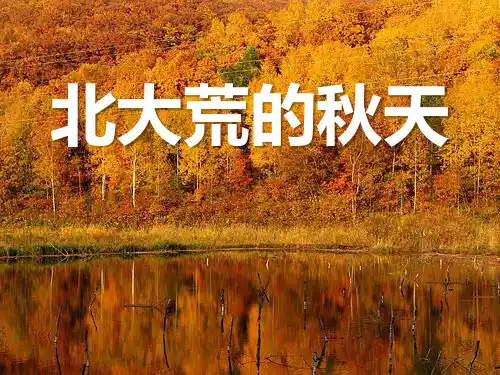 苏教版三年级语文上册《北大荒的秋天》PPT课件(4篇)