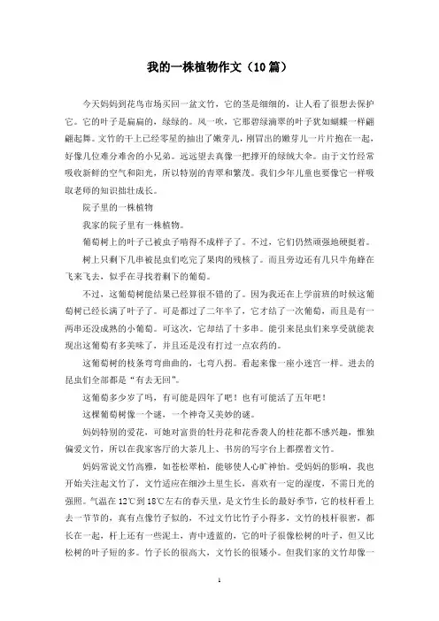 我的一株植物作文(10篇)