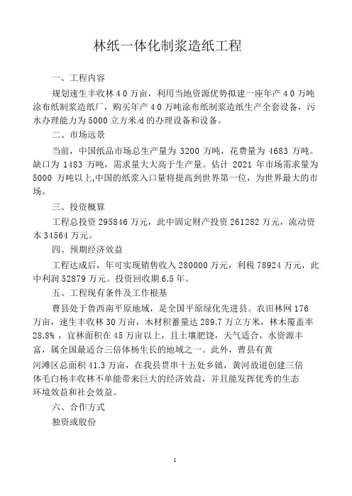 林纸一体化制浆造纸项目