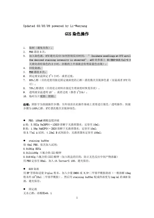 GUS染色操作