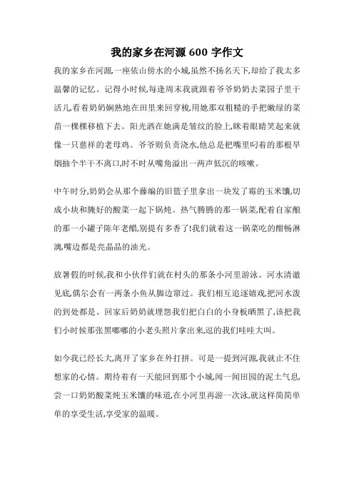 我的家乡在河源600字作文