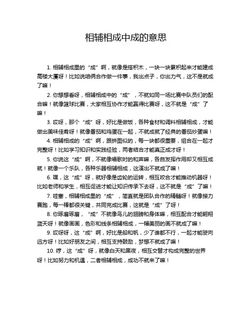 相辅相成中成的意思