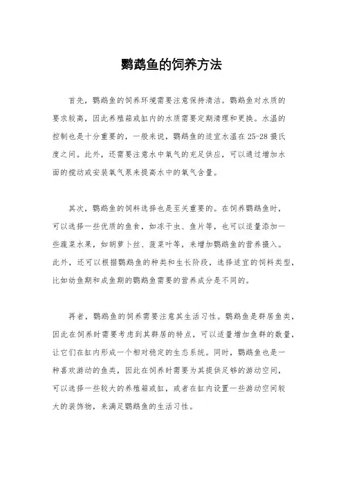鹦鹉鱼的饲养方法