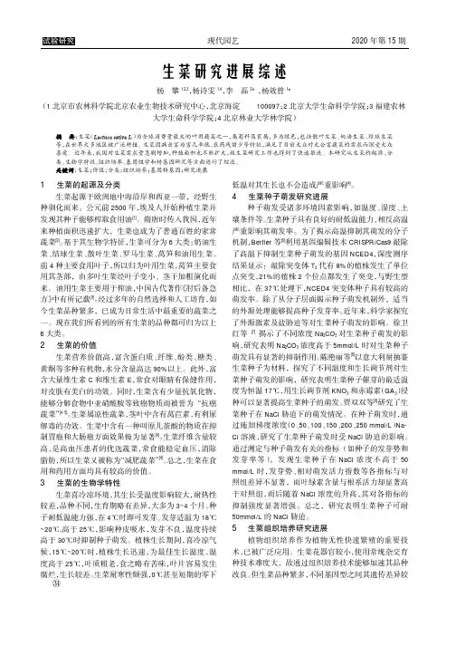 生菜研究进展综述