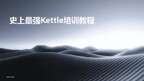 2024年史上最强Kettle培训教程