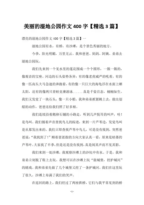 美丽的湿地公园作文400字【3篇】