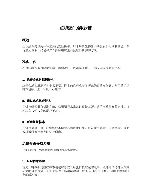 组织蛋白提取步骤