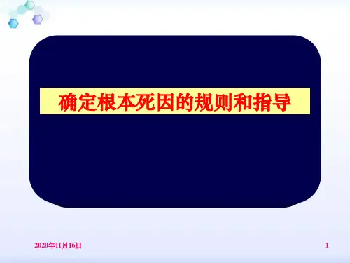 根本死因的规则和指导