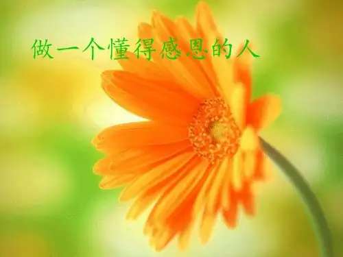 做一个懂得感恩的人