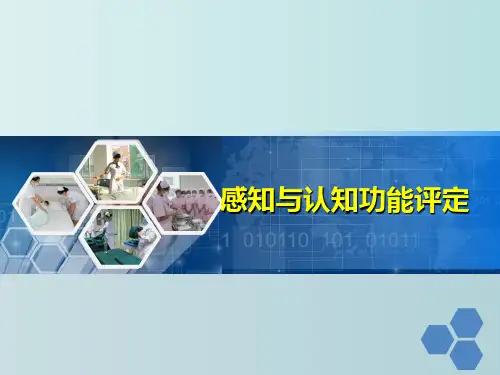 感知与认知功能评定 康复护理学 教学PPT课件