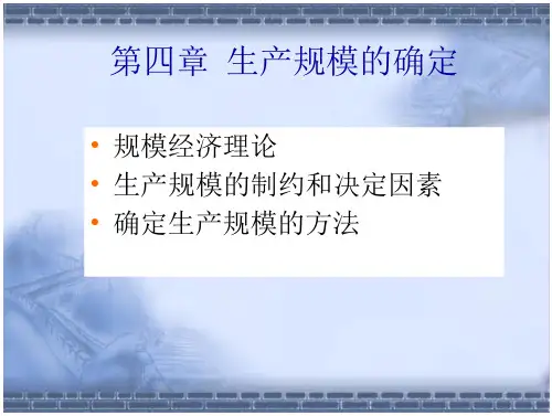 第四章   生产规模的确定.