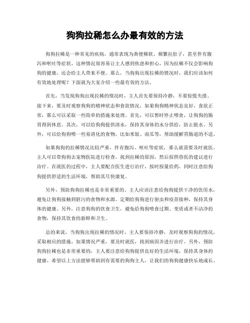狗狗拉稀怎么办最有效的方法