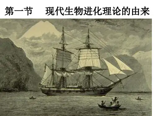 现代生物进化理论的由来ppt课件