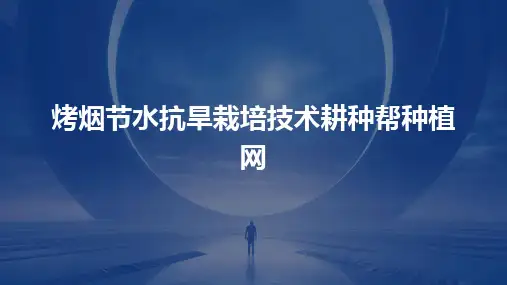 2024版烤烟节水抗旱栽培技术耕种帮种植网