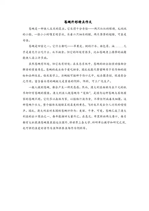 苍蝇外形特点作文