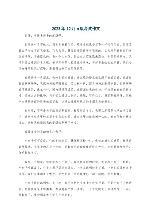 2023年12月a级考试作文