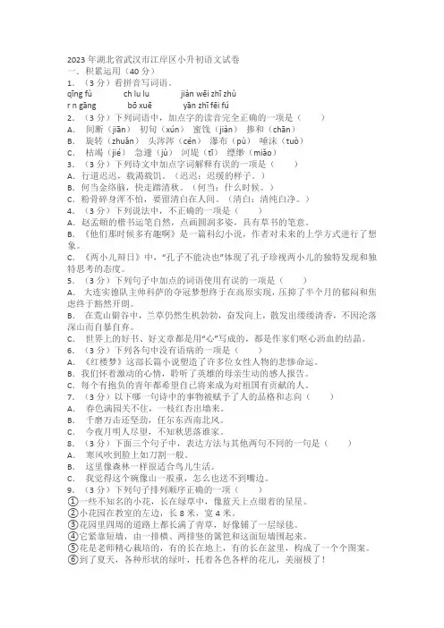 2023年湖北省武汉市江岸区小升初语文试卷(含答案)