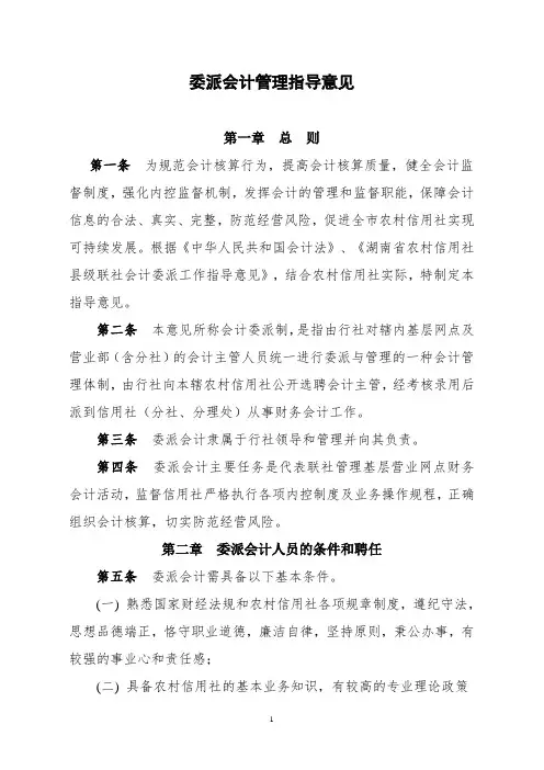 委派会计管理办法