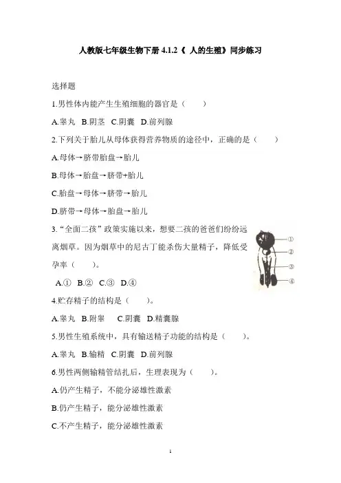 人教版七年级生物下册4.1.2《 人的生殖》同步练习