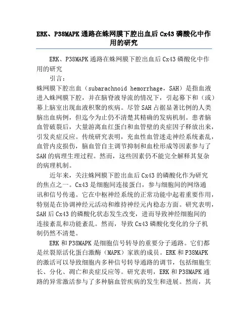 ERK、P38MAPK通路在蛛网膜下腔出血后Cx43磷酸化中作用的研究